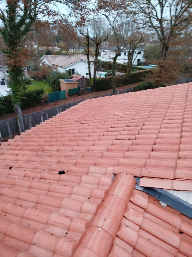 Démoussage de toiture