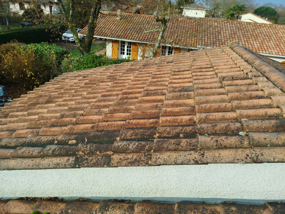 Nettoyage de toiture